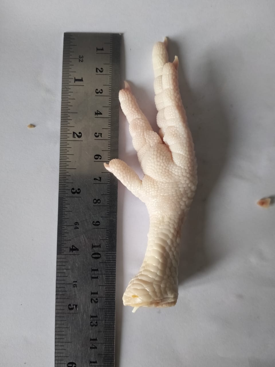 big-1